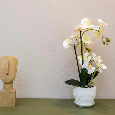 Ng Collection I Graniti Apartment